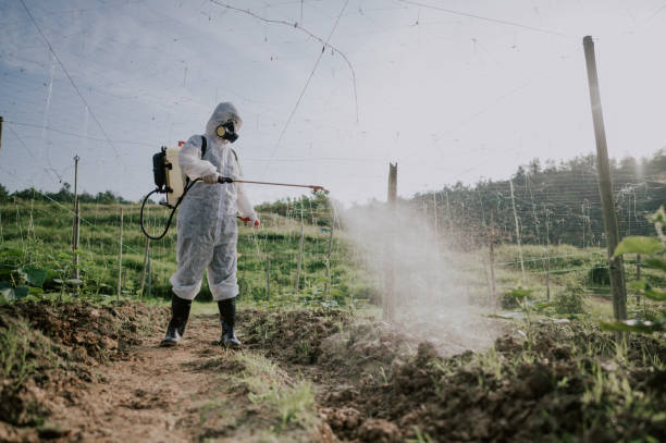 Best Mosquito Control Services  in Mount Sinai, NY