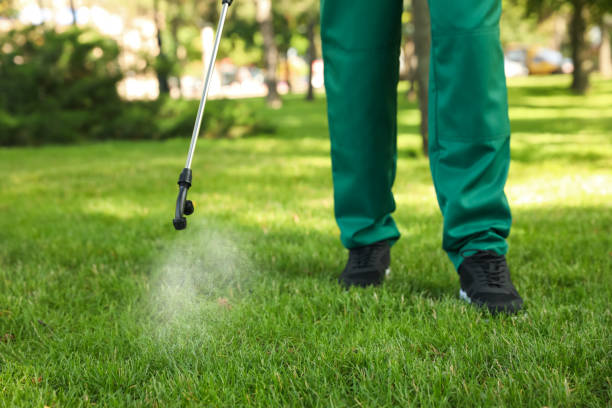 Best Termite Control Services  in Mount Sinai, NY