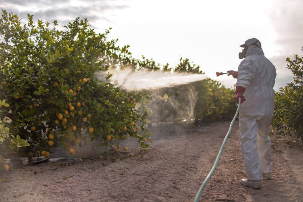 Best Wildlife Control Services  in Mount Sinai, NY