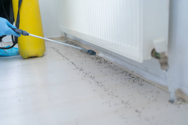 Mount Sinai, NY Pest Control Company